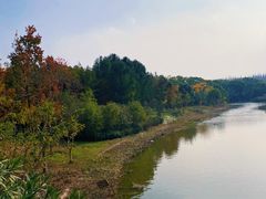 -上海长兴岛郊野公园