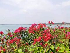 -露天矿生态公园