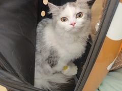 -宠颐生中康贝怡动物医院