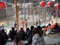 -贵州森林野生动物园
