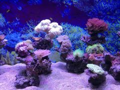 -海合安武汉极地海洋公园