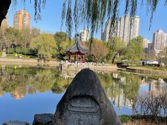 -和平公园