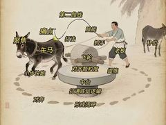 -眷江南之小蓝鲸(王府大街店)