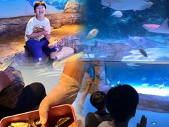 -沈阳海洋探索中心