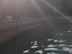 -三江森林温泉度假区