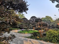 -南山植物园