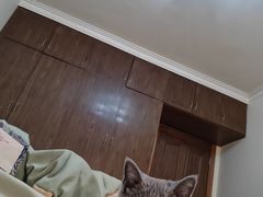 -关爱宠物医院·猫科中心·消化科(滨湖万达分院)