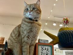 -懒鱼时光馆(沙坪坝店)