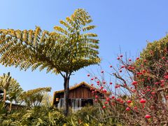 -茅草房·河畔园林火锅