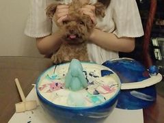 -CAKE BOSS 蛋糕老板(领展购物广场·中关村店)