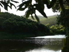 -大屏嶂森林公园