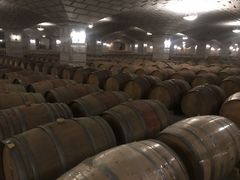 -紫轩葡萄酒庄园