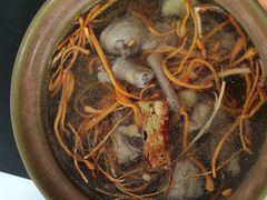 -润园四季椰子鸡火锅(南山海岸城店)