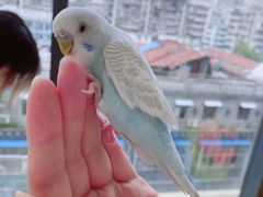 -怪兽屋·羊驼·猫咖·狗咖(俊华广场店)