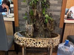 -粤点越有·茶点·粤菜(樵岭国际店)
