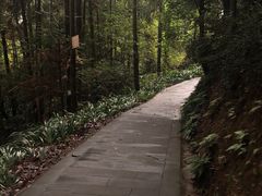 -窦圌山风景区