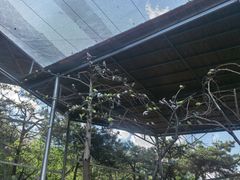 -燕塞湖鸟语林景区