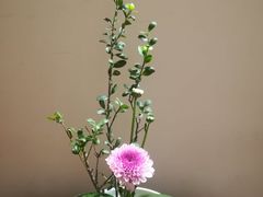 -赏清合茶文化艺术体验馆(百瑞景店)