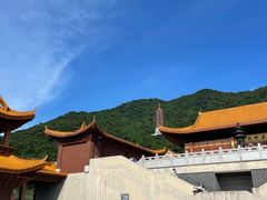 -深圳仙湖植物园