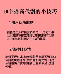 -Fundi张玉珊修身堂·indiba·BTL科技瘦身