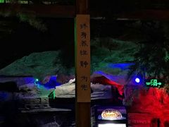 -青藤汗蒸时代会所
