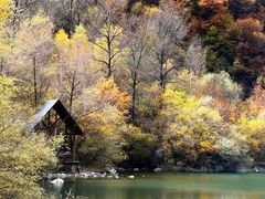 -叠溪松坪沟景区
