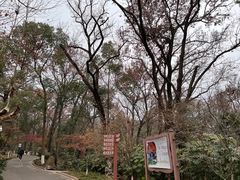 -虞山风景区