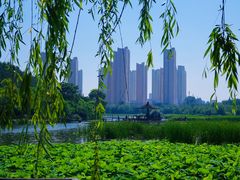 -前关湿地公园