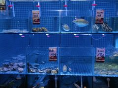 -粤色·老广州茶餐厅(河南商会大厦店)