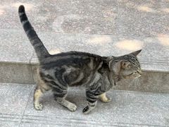 -秘境石崮寨