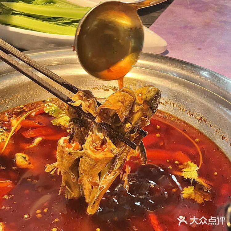 在成都！黄辣丁中的爱马仕，直接闭眼冲！