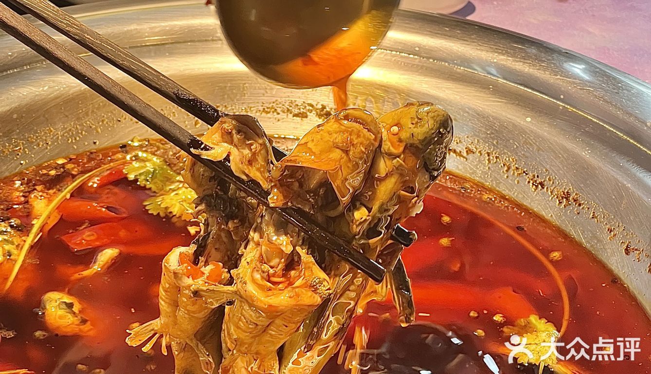 在成都！黄辣丁中的爱马仕，直接闭眼冲！