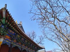 -护国法轮寺