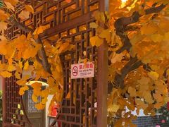 -徽镇小厨·经典徽菜(十里河店)