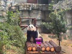 -泉州海丝野生动物世界