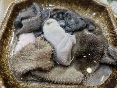 -大龙火锅(老店)