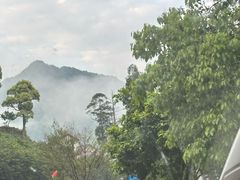 -杨家堂村