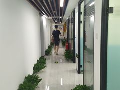 -新航道雅思托福·留学·考研培训(人民广场校区)