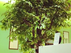 -Isofit 普拉提·婵柔工作室