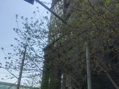 -桔子酒店(上海西藏北路地铁站店)