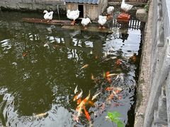 -苏州文庙(姑苏区)