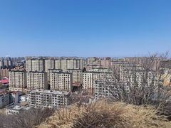 -水池山公园