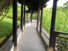 -日出青木·杭帮菜名店