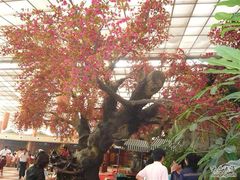 P1000626-绿色时代大酒店