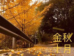 -凤栖山