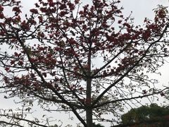-云溪植物园