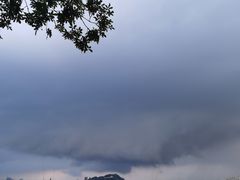-光明小镇欢乐田园