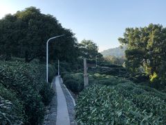 -杭州少年儿童公园