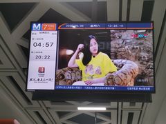 -野芷湖(地铁站)
