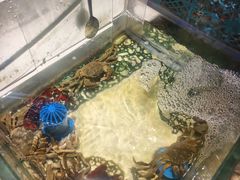 -加餐海鲜自助(宝龙一城店)